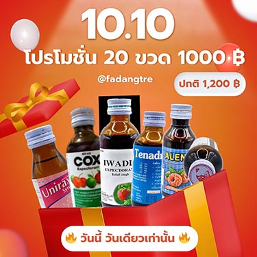 โปรโมชั่น 10.10