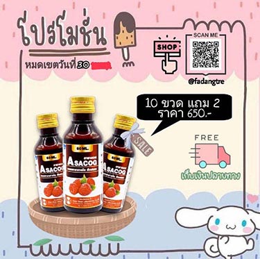 ฮาซาค๊อก ซื้อ 10 แถม 2