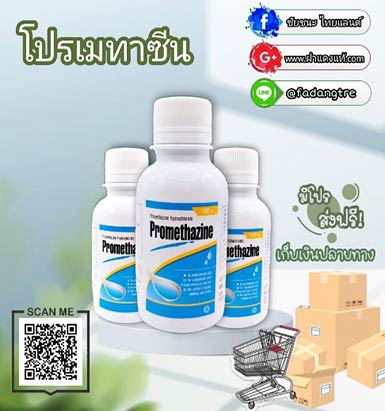 โปรเมทาซีน (Promethazine)